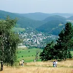 Belvita 2 Mit Hallenbad & Sauna - In Ruhiger Zentrumsrandlage Lägenhet Willingen (Upland)